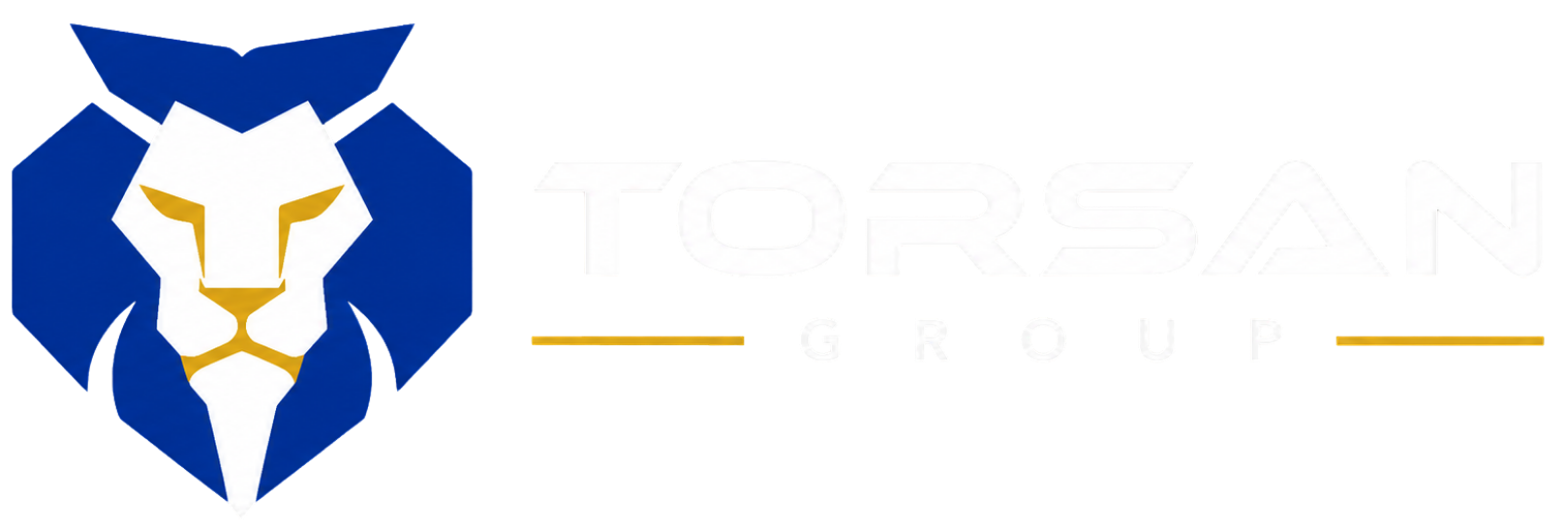 TORSAN GROUP